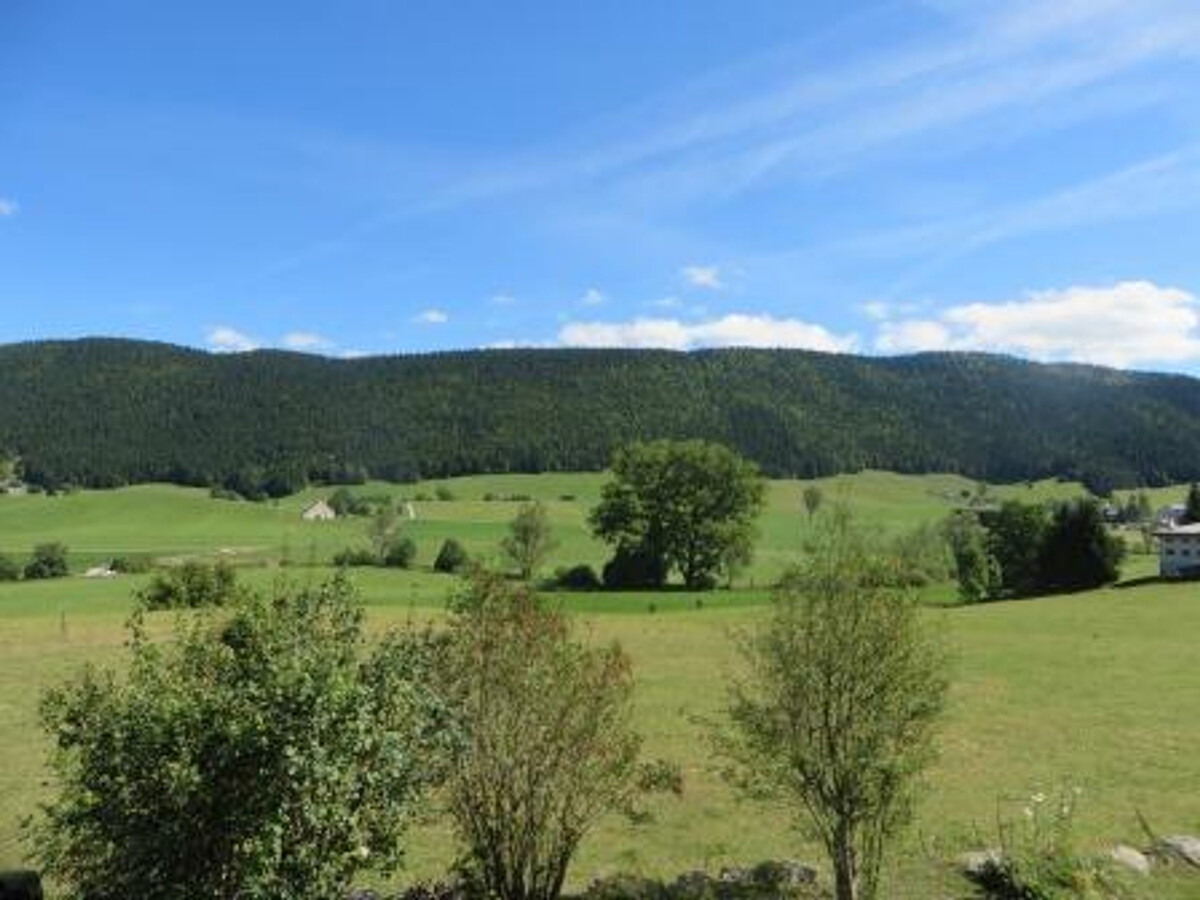 Appartement rénové 37m² balcon, 1 km pistes ski - Photo 10