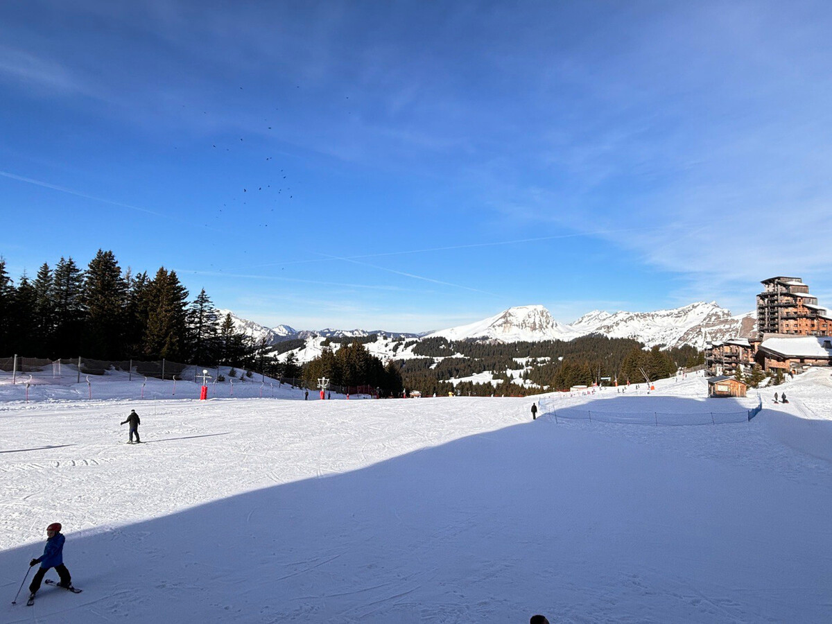 3 pièces rénové avec balcon sud-ouest, vue montagne - Photo 16