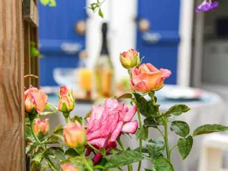 Location maison à Pornic