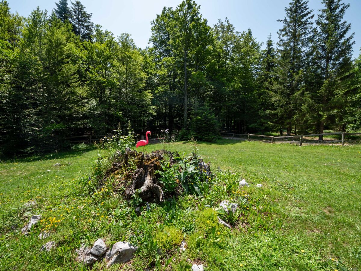 Legendao 2 – Maison 5 chambres en forêt croate - Photo 33