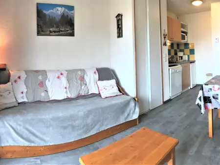 Appartement 2 pièces ski aux pieds, piscine chauffée : photo 3