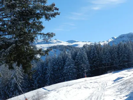 Duplex 8 pers aux pieds des pistes à Courchevel 1850 : photo 14