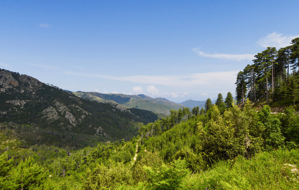 Appartement montagne avec vue panoramique à Ghisoni - Photo 15