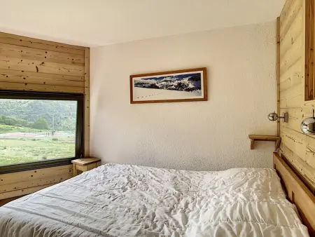 Duplex skis aux pieds, balcon sud aux Menuires : photo 12