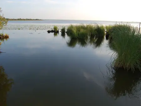 Le Nid du Marais - Fermette rénovée 3 pers. à Villeneuve-en-Retz : photo 11
