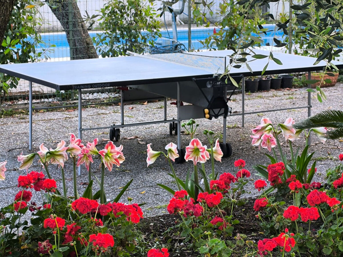 Appartement Mimosa à Chiusanico, accès jardin et piscine - Photo 21