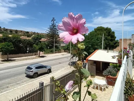 Carlo Gaia 165 — Appartement avec terrasse couverte à San Vito lo Capo : photo 21
