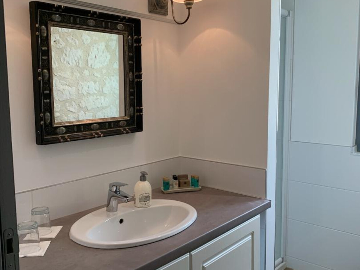 Gîte 10 pers. Benais : 5 ch, jardin, Pays des Châteaux - Photo 17