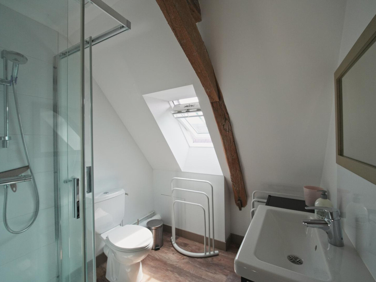 Gîte 10 pers. Benais : 5 ch, jardin, Pays des Châteaux - Photo 27