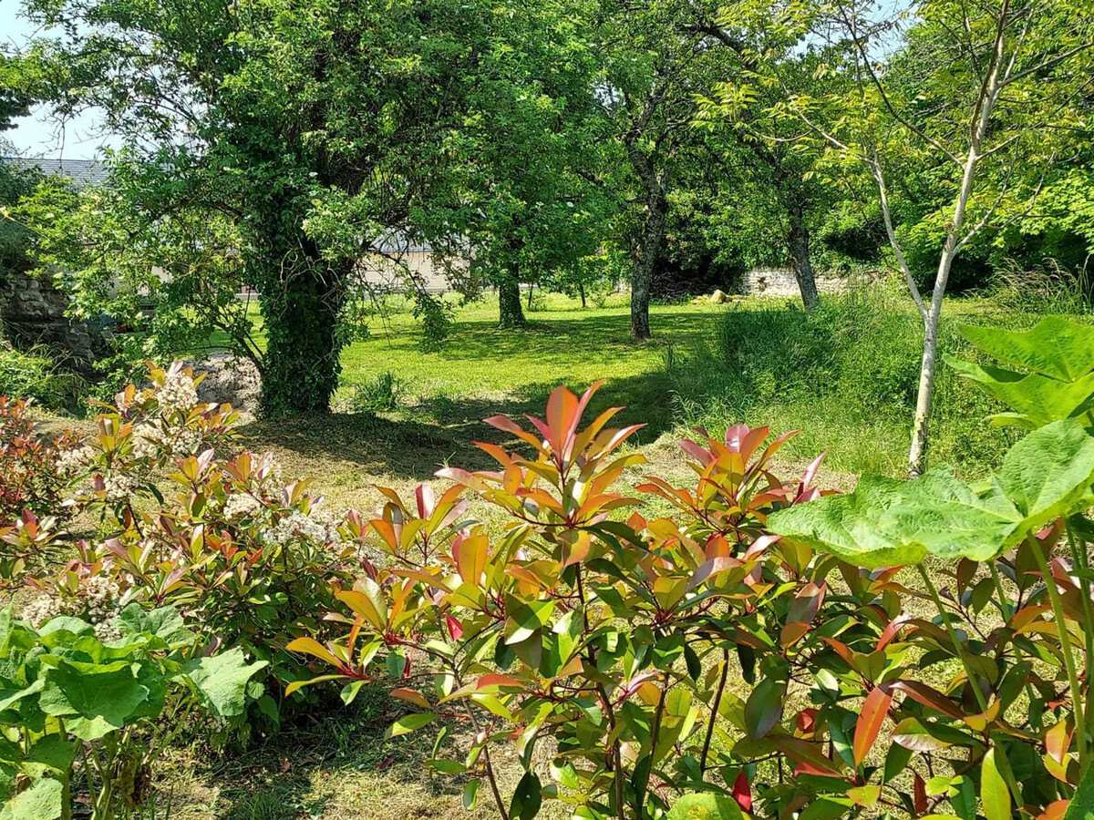 Gîte 10 pers. Benais : 5 ch, jardin, Pays des Châteaux - Photo 32
