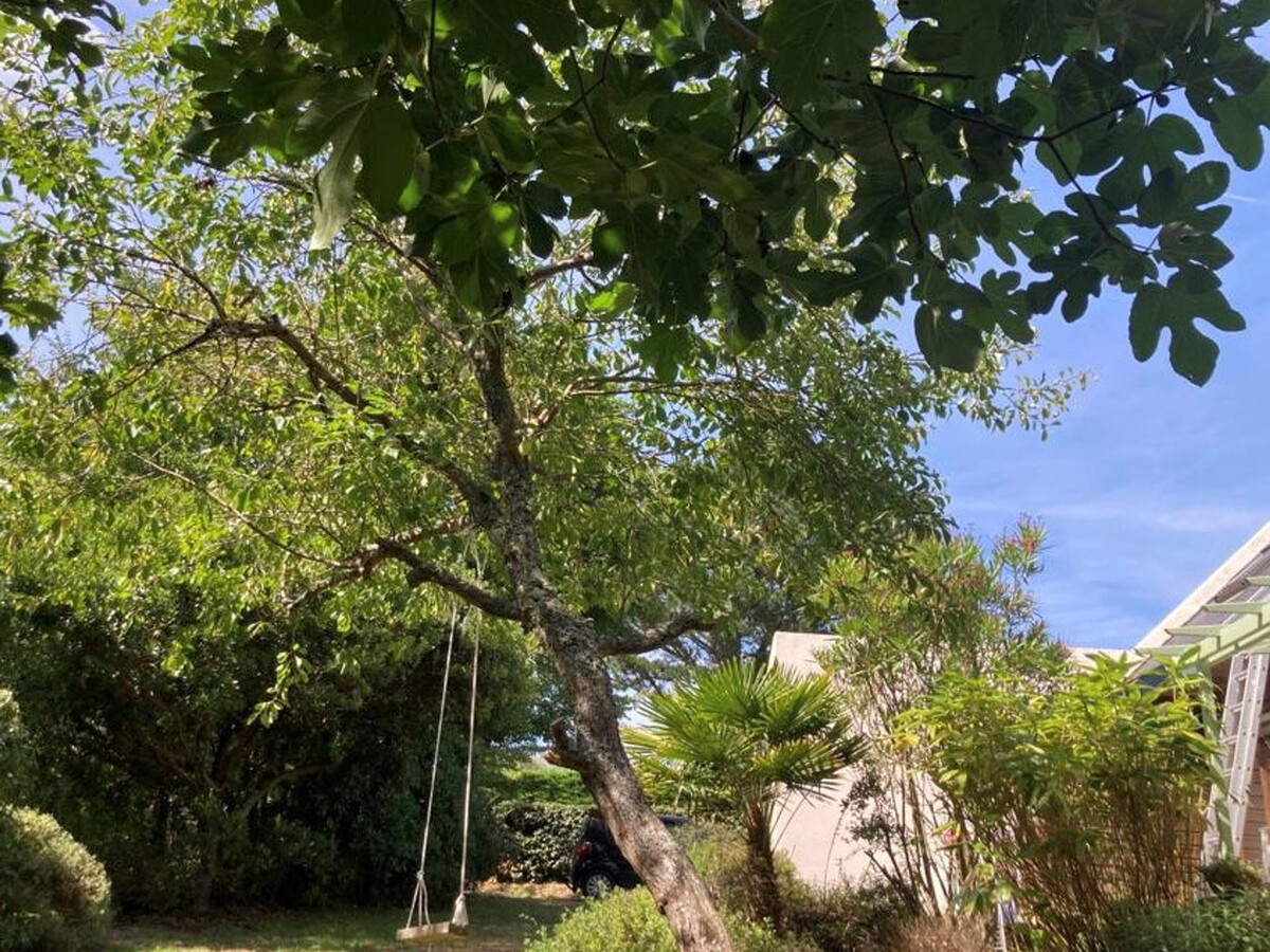 Maison 5 chambres à Locmaria, jardin 900m² près plages - Photo 18
