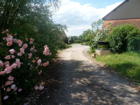 Gîte Les Chênes à Souvigny – 10 pers., piscine chauffée : photo 17