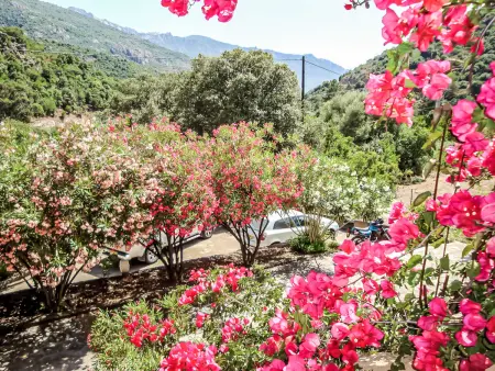 Location appartement à Porto, Residence Cabanaccia Studio 38m²