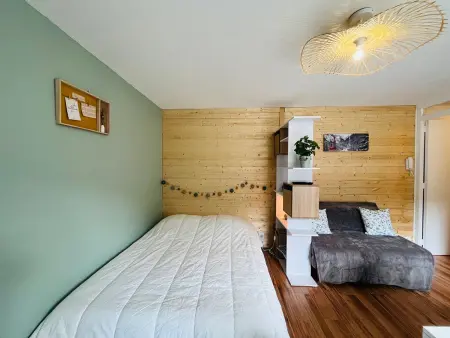 Studio 22 m² avec parking, vue Capucin à Mont-Dore : photo 5
