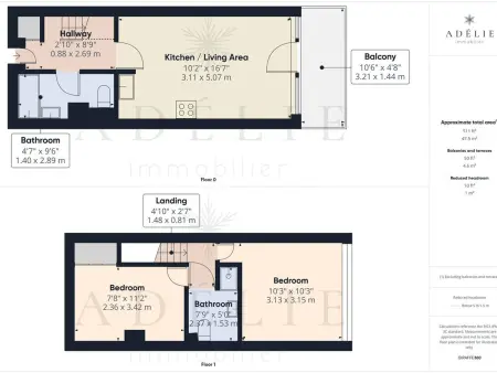 Duplex 48m² rénové, balcon sud, 200m des pistes : photo 14