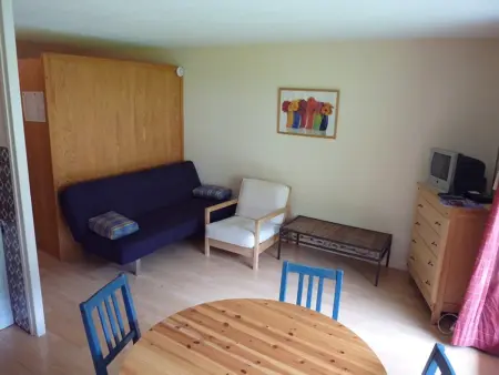 Studio 28 m² rez-de-jardin, balcon sud à Saint-Jean-d'Aulps - Photo 1