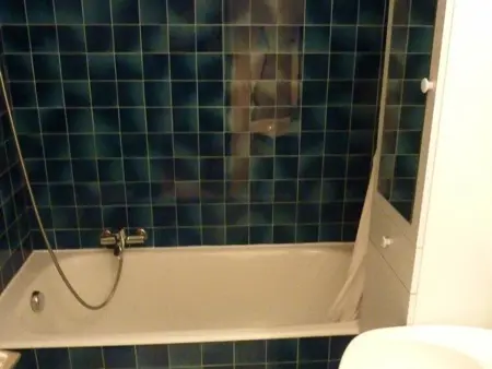 Studio 28 m² rez-de-jardin, balcon sud à Saint-Jean-d'Aulps - Photo 6
