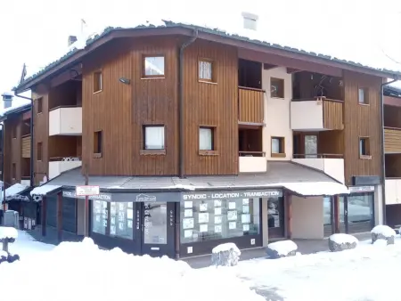 Appartement 2 pièces au pied des pistes à St-Jean-d'Aulps - Photo 25