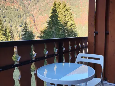 Studio 4 pers. avec accès direct aux pistes à Saint-Jean-d'Aulps - Photo 7