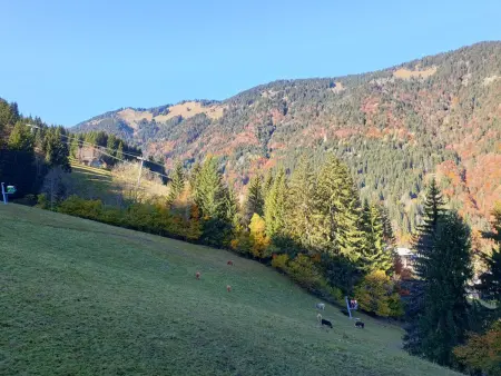 Studio 4 pers. avec accès direct aux pistes à Saint-Jean-d'Aulps - Photo 8