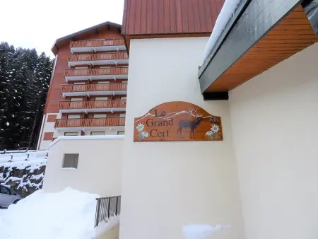 Studio 4 pers. avec accès direct aux pistes à Saint-Jean-d'Aulps - Photo 9