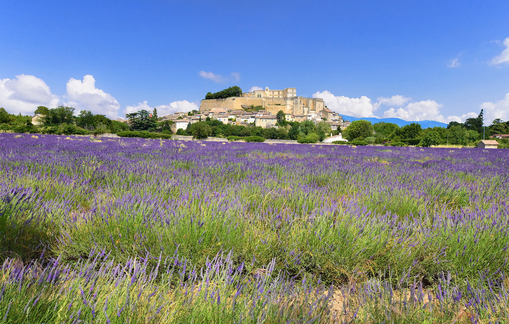 Mas provençal avec piscine privée à Marsanne - Photo 9