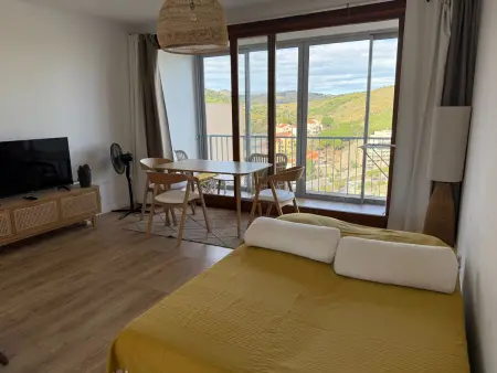Studio 35m² vue mer avec loggia à Banyuls-sur-Mer : photo 21