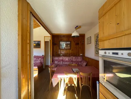 Appartement 2 pièces vue pistes Belle Plagne, animaux acceptés : photo 4