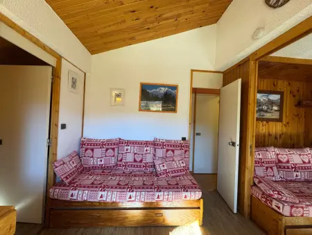 Appartement 2 pièces vue pistes Belle Plagne, animaux acceptés : photo 9