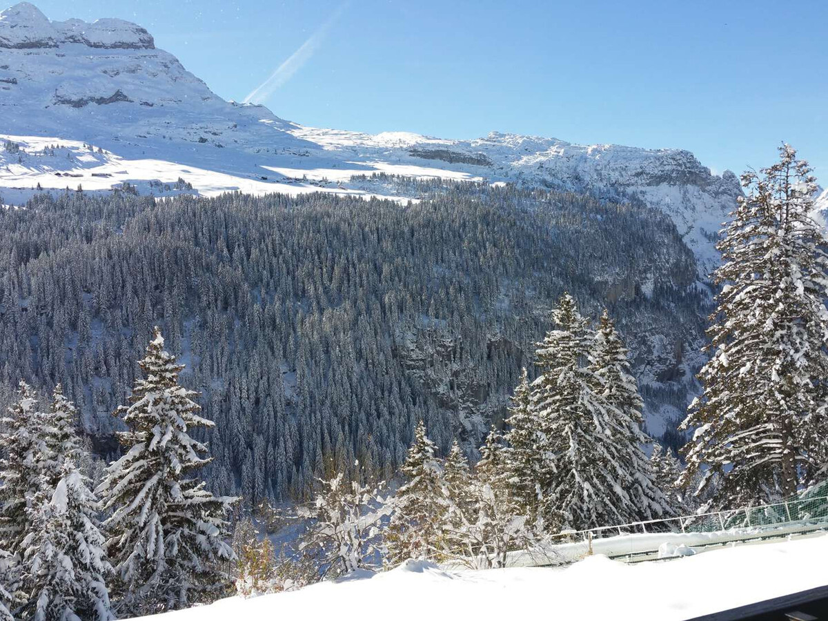 Appartement 2 pièces + cabine rénové, balcon sud à Flaine - Photo 11
