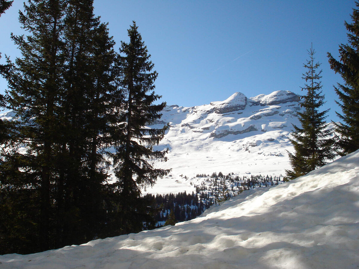 Duplex 3P 75m² balcon sud - 6/8 pers à Flaine - Photo 17