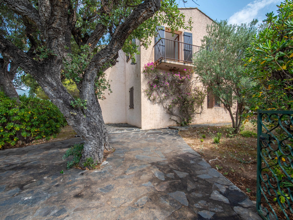 Villa Ténérife à Cavalaire, 8 pers., 900 m² clôturé - Photo 1