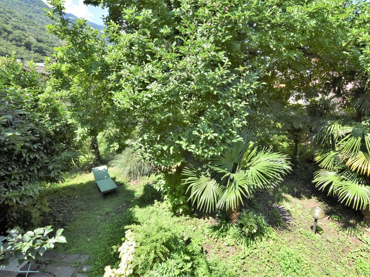 La Casa del Nonno – Maison 6 pers. Valtellina - Photo 20