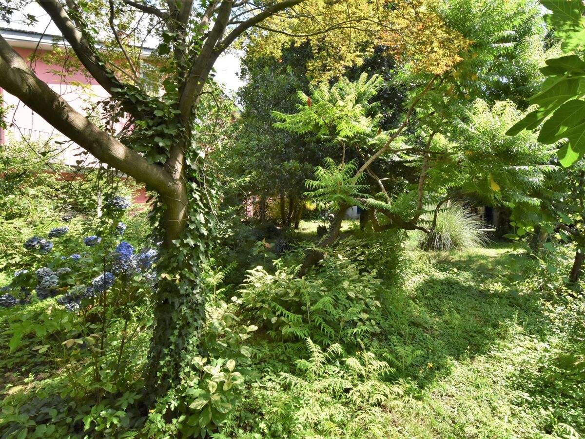 La Casa del Nonno – Maison 6 pers. Valtellina - Photo 41