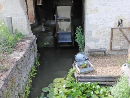 Maison authentique avec piscine, cheminée, et golf dans le Perche - Photo 26