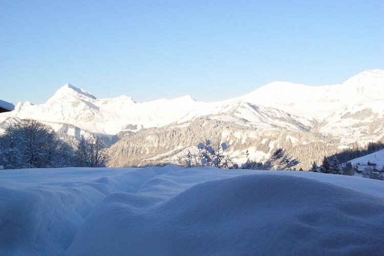 Chalet Notre Dame de Bellecombe, vue Aravis - Photo 11