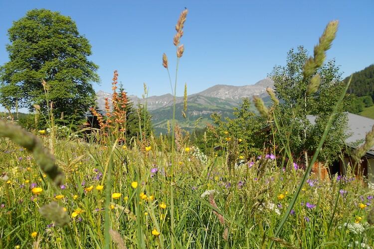 Chalet Notre Dame de Bellecombe, vue Aravis - Photo 19