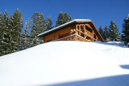 Chalet L'Etoile, Chalet à Les Gets avec accès aux pistes - Photo 16