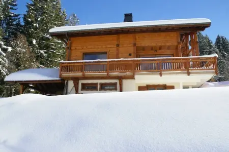 Chalet L'Etoile, Chalet à Les Gets avec accès aux pistes - Photo 17
