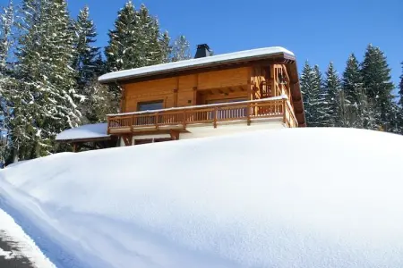 Chalet L'Etoile, Chalet à Les Gets avec accès aux pistes - Photo 18