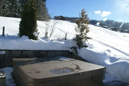 Chalet L'Etoile, Chalet à Les Gets avec accès aux pistes - Photo 20
