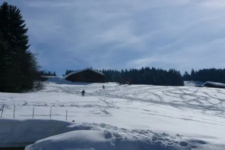 Chalet L'Etoile, Chalet à Les Gets avec accès aux pistes - Photo 22