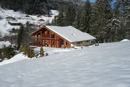 Chalet L'Etoile, Chalet à Les Gets avec accès aux pistes - Photo 26
