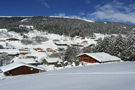 Chalet L'Etoile, Chalet à Les Gets avec accès aux pistes - Photo 30
