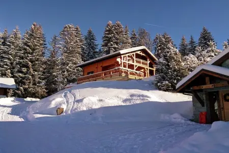 Chalet L'Etoile, Chalet à Les Gets avec accès aux pistes - Photo 31