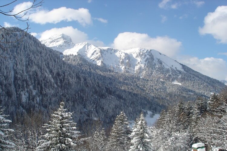 Chalet Le Nid Zut à 200m des remontées mécaniques - Photo 4