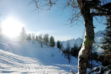 La Ferme les Violets, Chalet en Rhône-Alpes près du télésiège - Photo 10