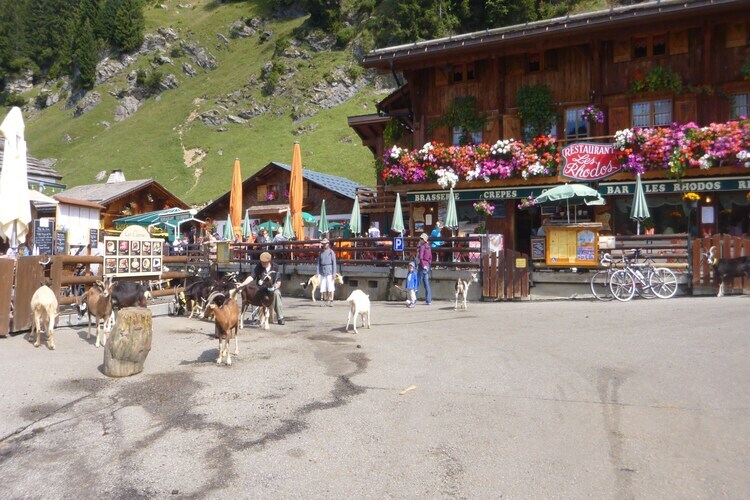 Chalet Montjoie, 8 personnes à 1 km des pistes - Photo 21