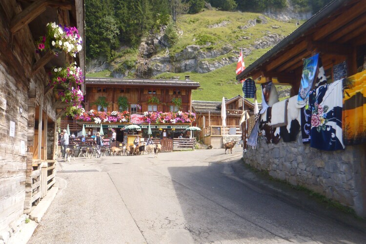 Chalet Montjoie, 8 personnes à 1 km des pistes - Photo 22