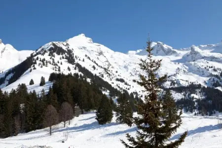 Résidence Le Buet 1, Studio alpin avec balcon - Photo 39